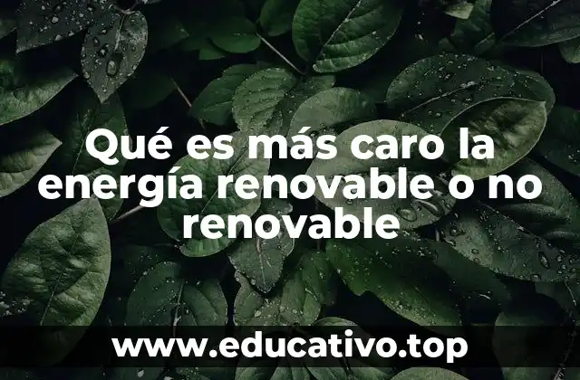 Comparando costos: energía renovable vs. no renovable