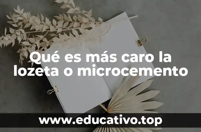 Qué es más caro la lozeta o microcemento