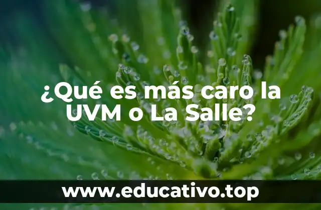 ¿Qué es más caro la UVM o La Salle?