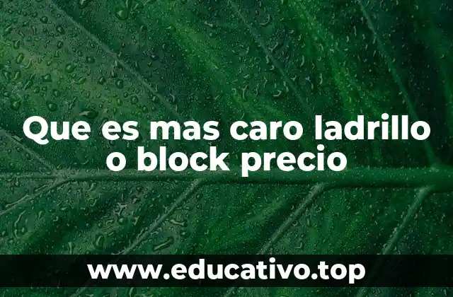 Que es mas caro ladrillo o block precio
