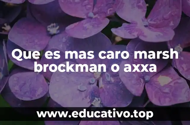 Que es mas caro marsh brockman o axxa