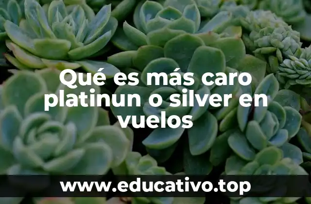 Qué es más caro platinun o silver en vuelos