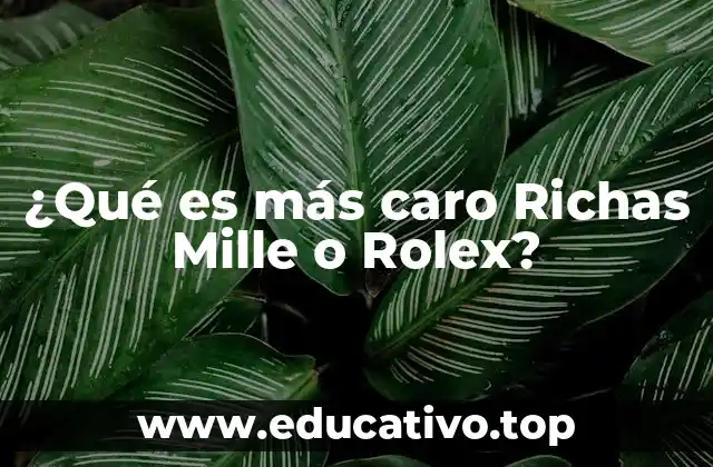 ¿Qué es más caro Richas Mille o Rolex?