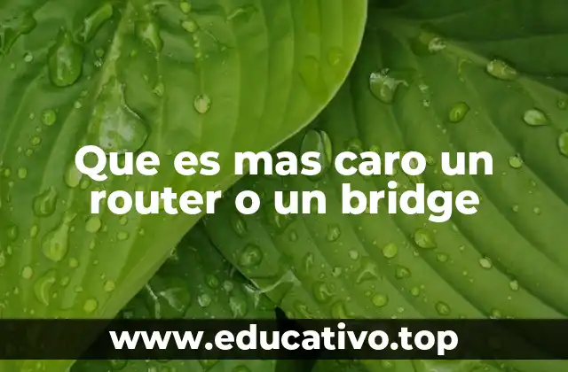 Que es mas caro un router o un bridge