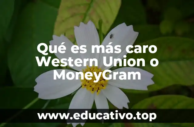 Qué es más caro Western Union o MoneyGram