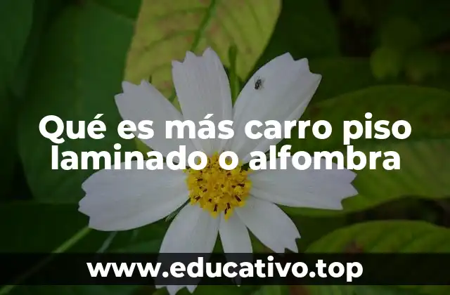 Qué es más carro piso laminado o alfombra