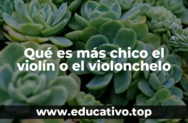 Qué es más chico el violín o el violonchelo