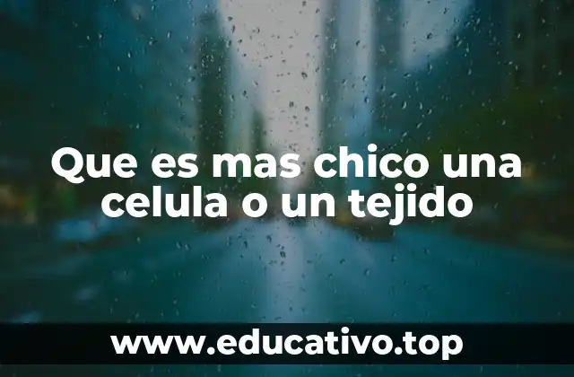 Que es mas chico una celula o un tejido