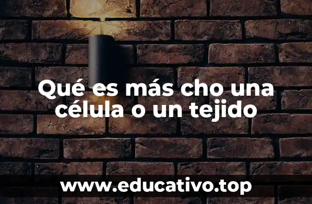 Qué es más cho una célula o un tejido