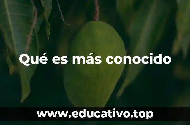 Qué es más conocido