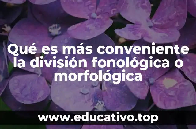 Qué es más conveniente la división fonológica o morfológica
