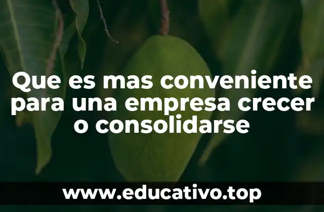 Que es mas conveniente para una empresa crecer o consolidarse