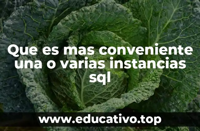 Que es mas conveniente una o varias instancias sql