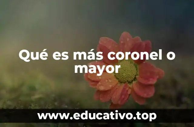 Qué es más coronel o mayor