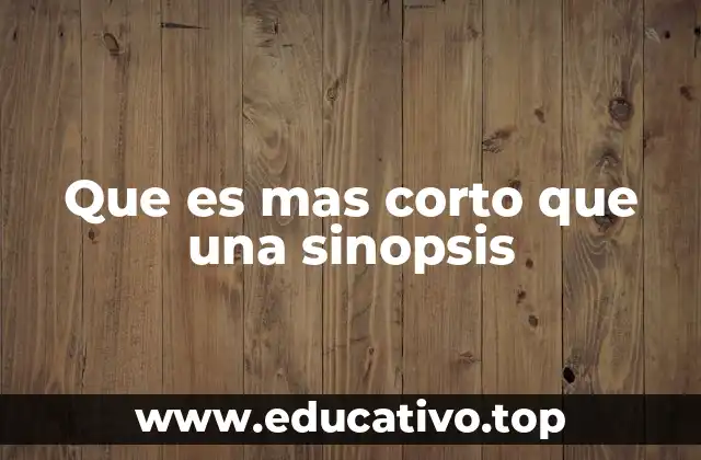 Que es mas corto que una sinopsis