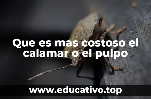 Que es mas costoso el calamar o el pulpo