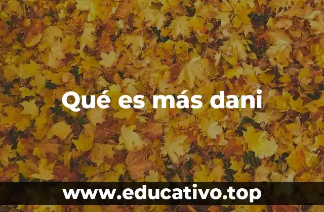 Qué es más dani