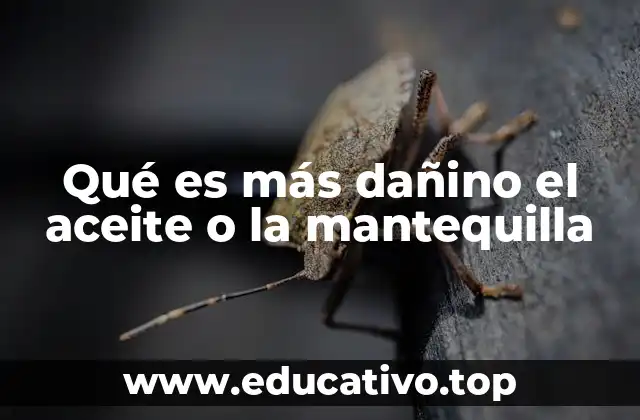 Qué es más dañino el aceite o la mantequilla