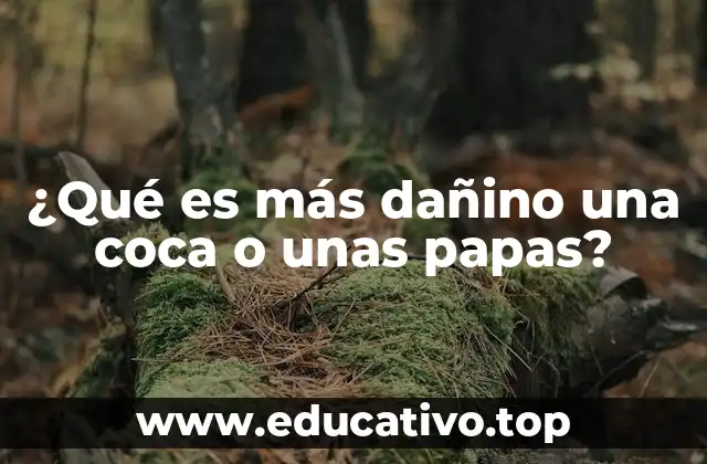 ¿Qué es más dañino una coca o unas papas?