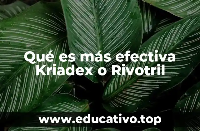 Qué es más efectiva Kriadex o Rivotril