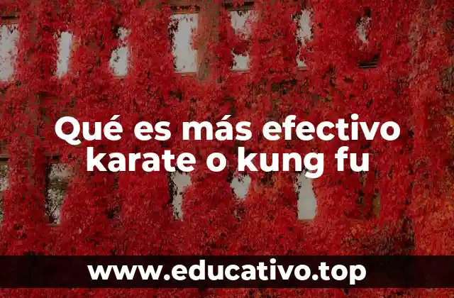 Qué es más efectivo karate o kung fu