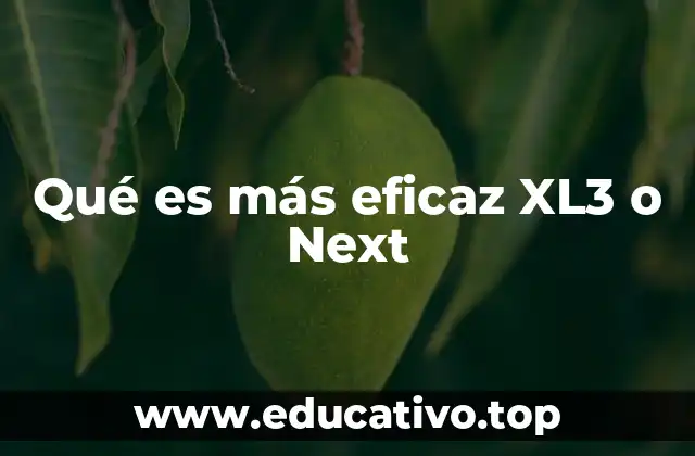 Qué es más eficaz XL3 o Next