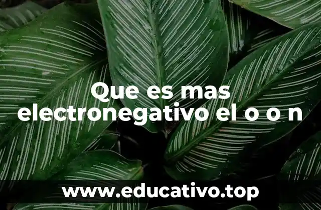 Que es mas electronegativo el o o n