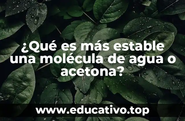¿Qué es más estable una molécula de agua o acetona?