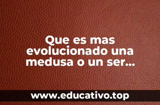 Que es mas evolucionado una medusa o un ser humano