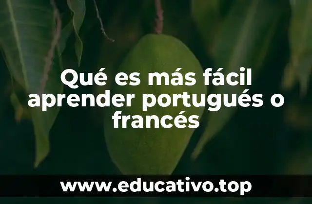 Comparando características lingüísticas de ambos idiomas