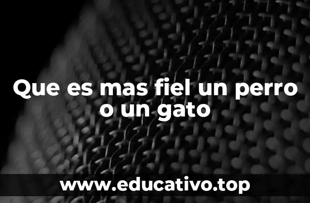 Que es mas fiel un perro o un gato