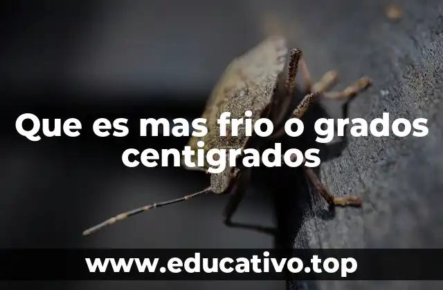 Cómo interpreta el cuerpo humano el frío