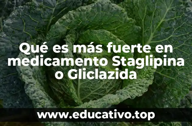 Qué es más fuerte en medicamento Staglipina o Gliclazida