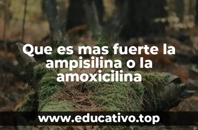 Que es mas fuerte la ampisilina o la amoxicilina