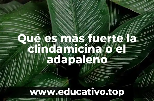 Qué es más fuerte la clindamicina o el adapaleno