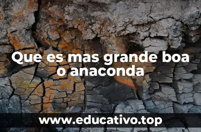 Diferencias entre las serpientes grandes de América del Sur