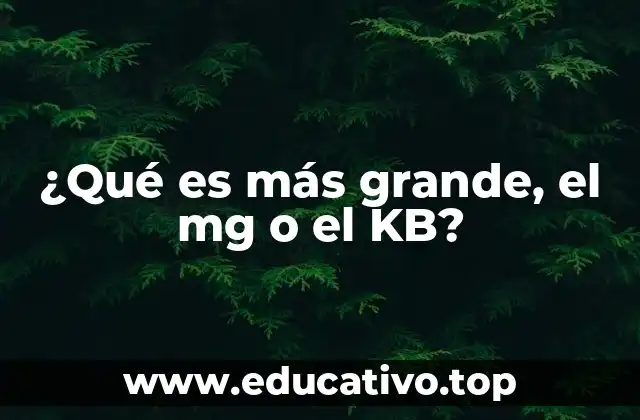 ¿Qué es más grande, el mg o el KB?