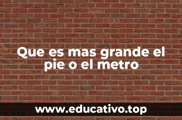 Que es mas grande el pie o el metro