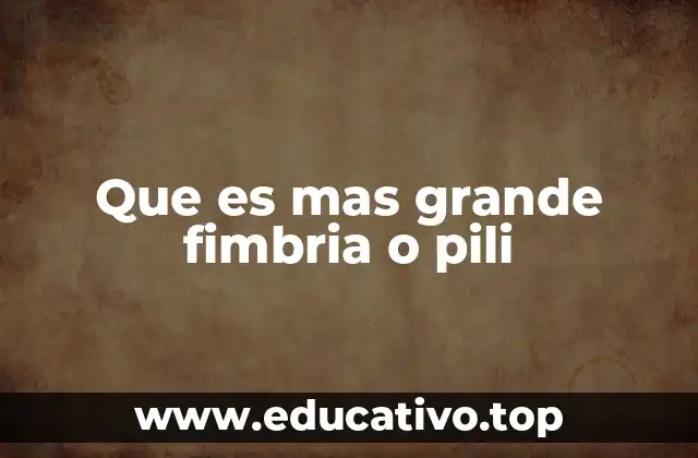 Que es mas grande fimbria o pili