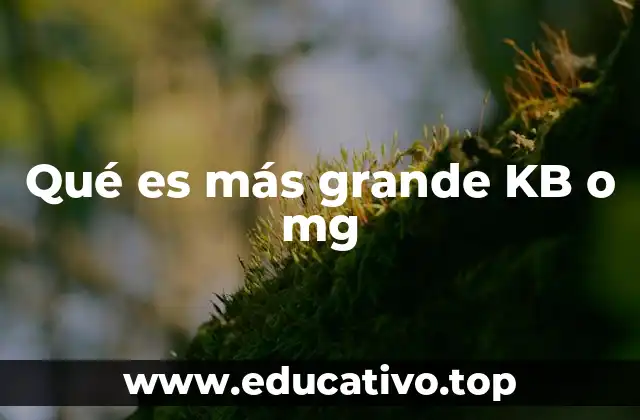 Qué es más grande KB o mg