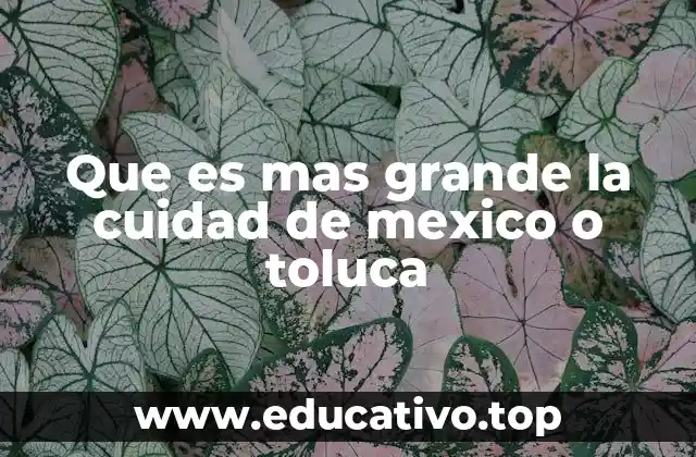 Que es mas grande la cuidad de mexico o toluca