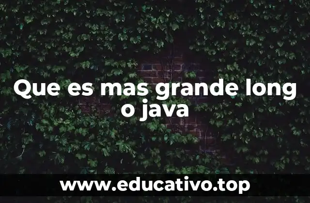 Que es mas grande long o java