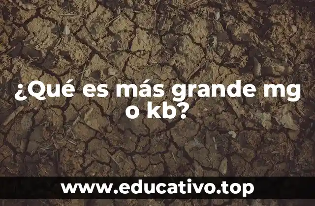 ¿Qué es más grande mg o kb?