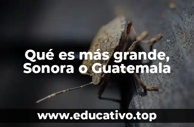Qué es más grande, Sonora o Guatemala