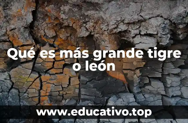 Comparando las dimensiones de dos grandes felinos