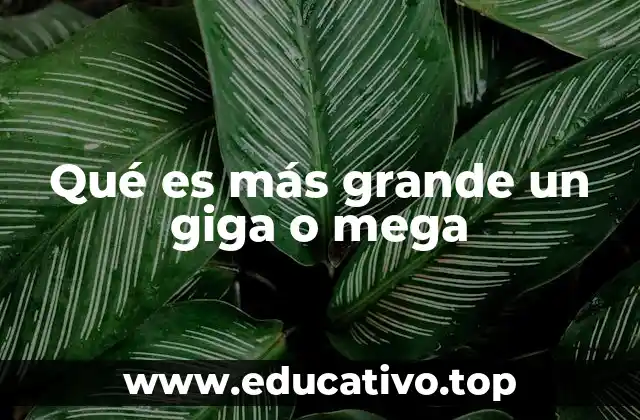 La importancia de las unidades de medida en la era digital