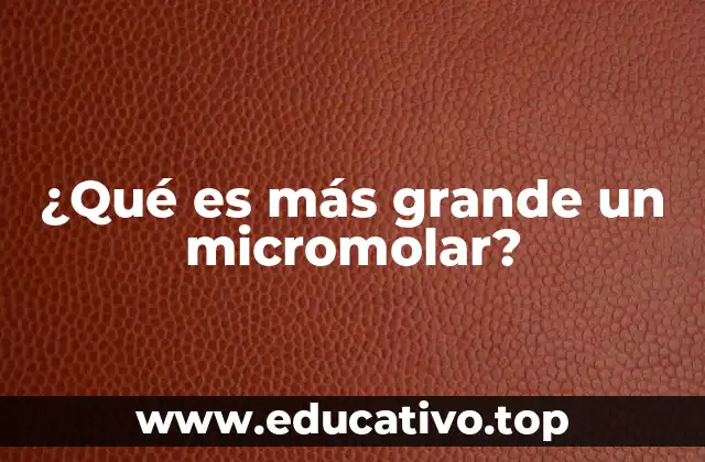 ¿Qué es más grande un micromolar?
