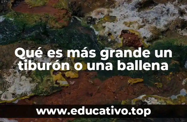 Gigantes del océano: una comparación sin mencionar directamente los animales