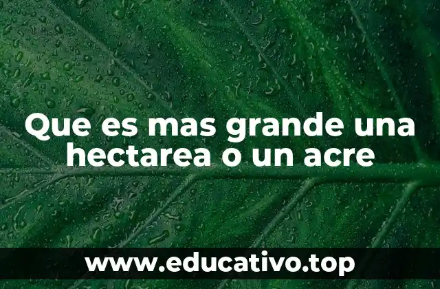 Que es mas grande una hectarea o un acre