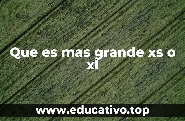 Que es mas grande xs o xl